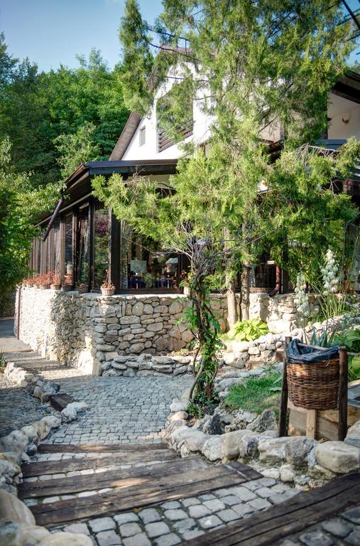 Pensiune-Restaurant Tara Luanei Sărata-Monteoru Εξωτερικό φωτογραφία