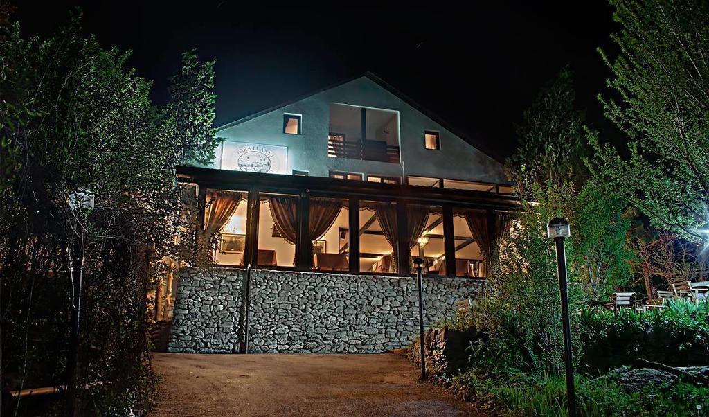 Pensiune-Restaurant Tara Luanei Sărata-Monteoru Εξωτερικό φωτογραφία